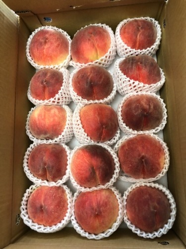 桃！ 桃！ 桃！ ドッグウッドの木陰で