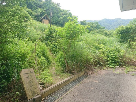 6月のつちのいえ、茶庭班山本さんとの再会_e0156224_09204995.jpg