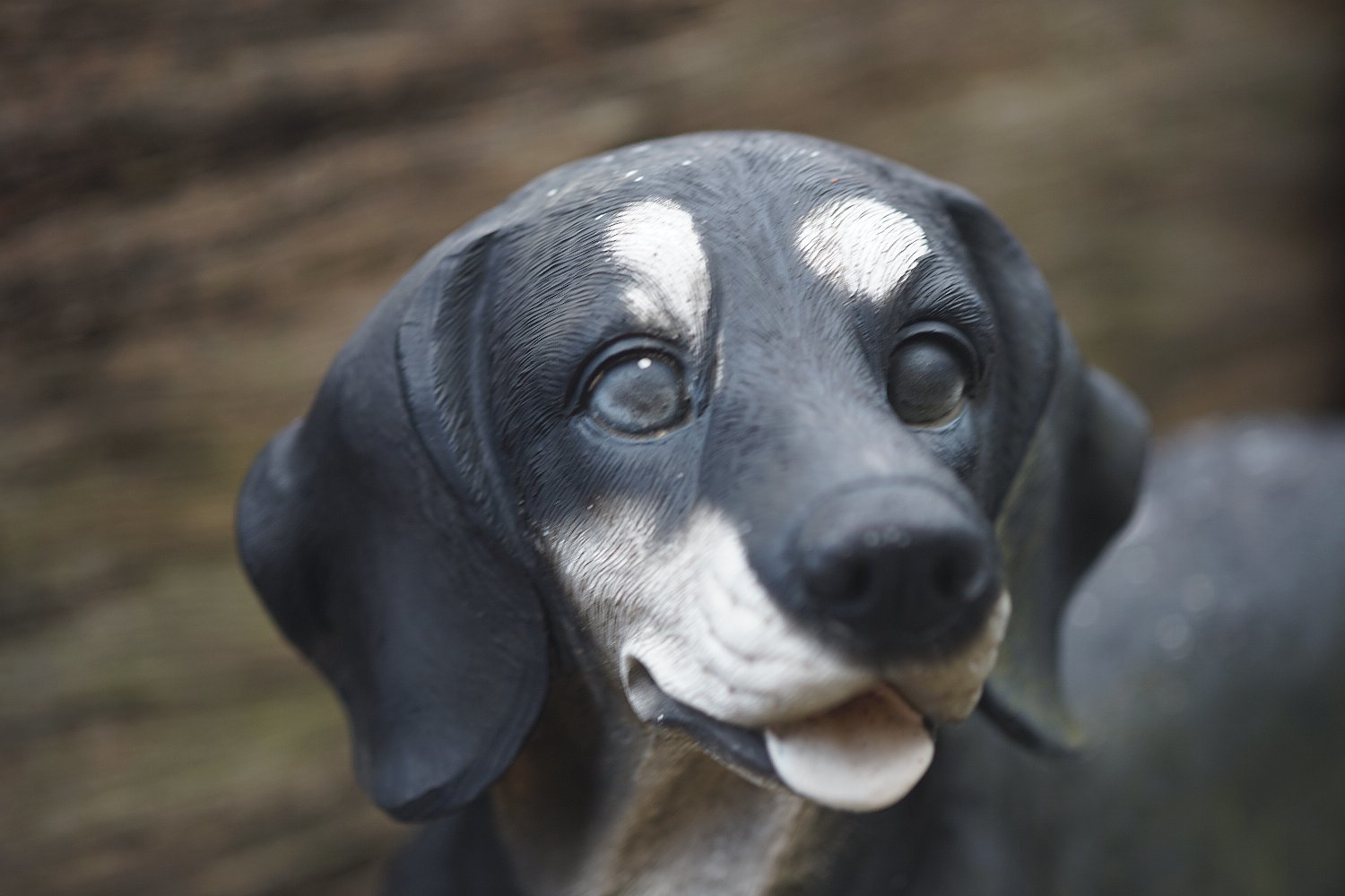 Bellows-Takumar 100mm F4 は 素晴らしい : nakajima akira's photobook