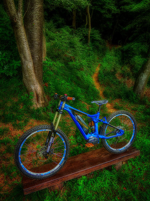 Good Morning 高峰 e-MTB World!XXII_b0049658_09303794.jpg