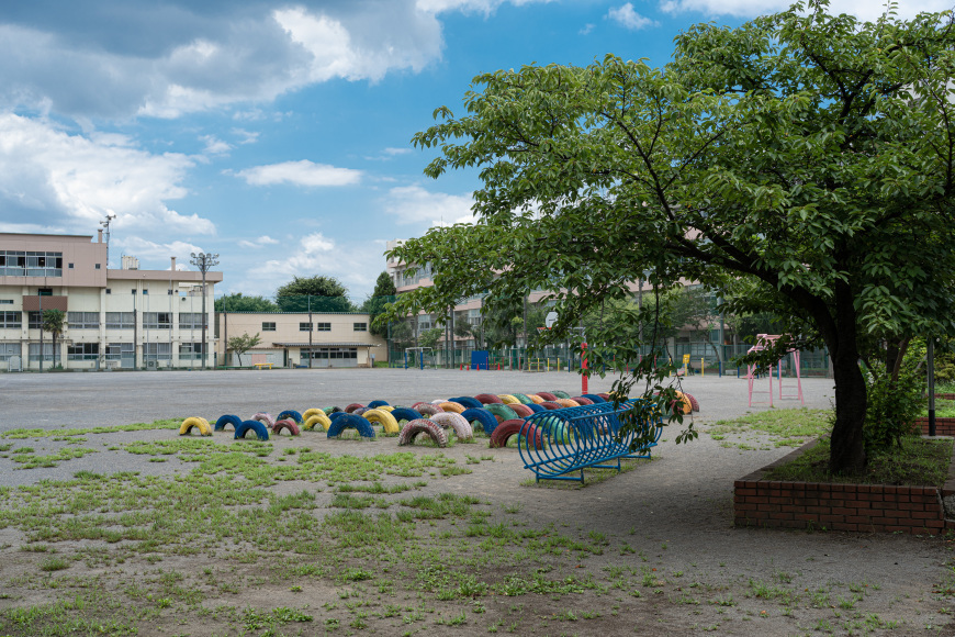 2022/07/24 見沼代用水西縁を南に_b0171364_16192399.jpg