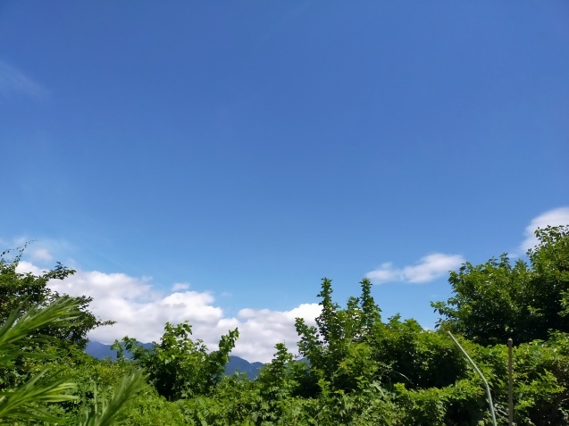 夏期休業のお知らせ_d0345667_16002657.jpg