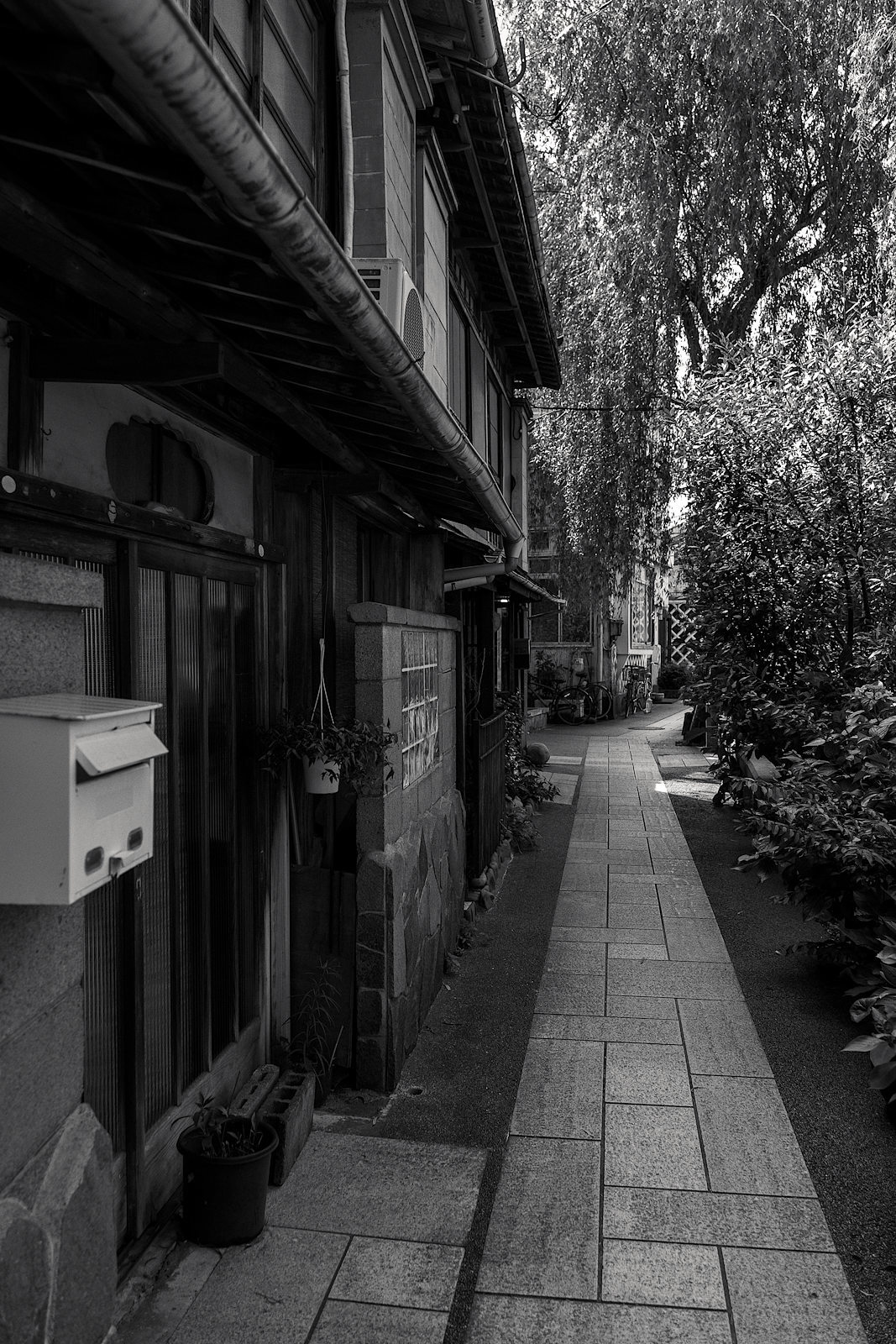 伊豆の旅 二日目 ペリーロード Part 3 夢幻泡影