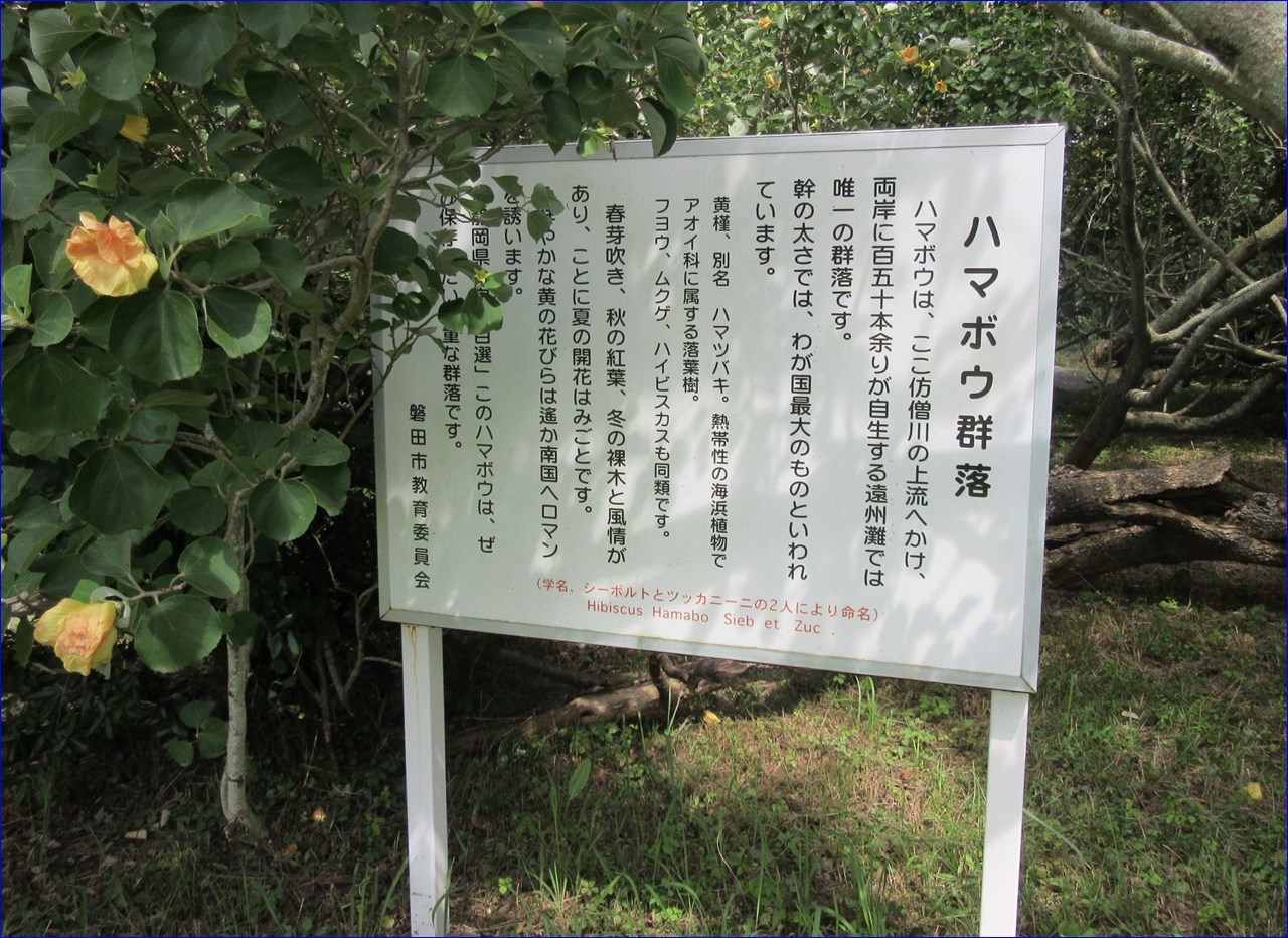 仿僧川水門とはまぼう公園_c0376508_19295201.jpg