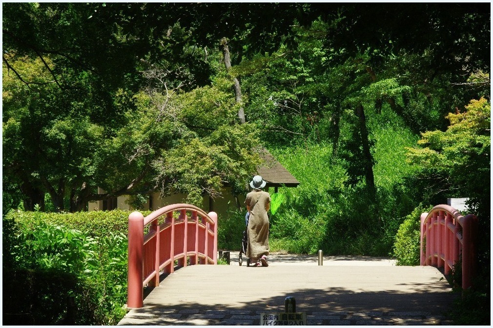 夏の日に_c0352813_17224948.jpg