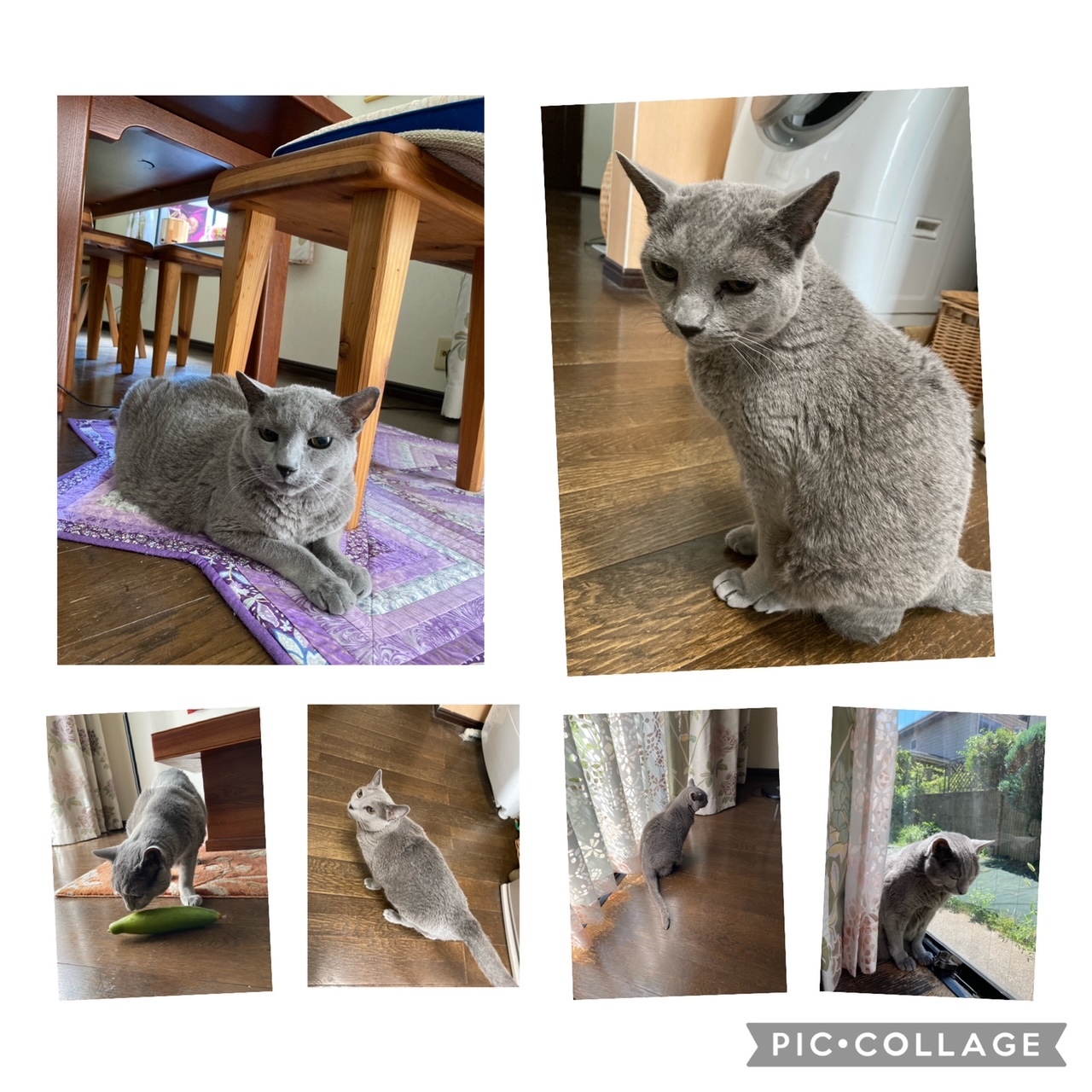 108チャクラ瞑想クラス（4／24）嘘がつけなくなるチャクラ？？_c0125114_13112140.jpeg