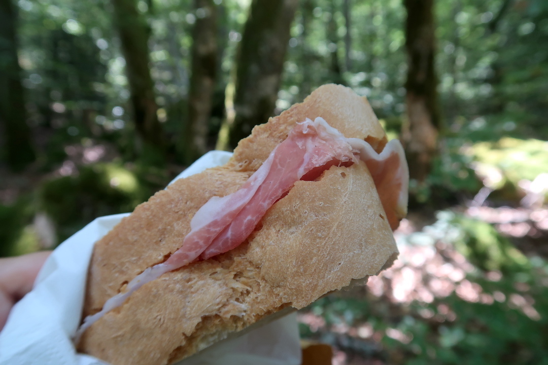 フランス語のルパンをラヴェルナの緑の森で_f0234936_02450867.jpg