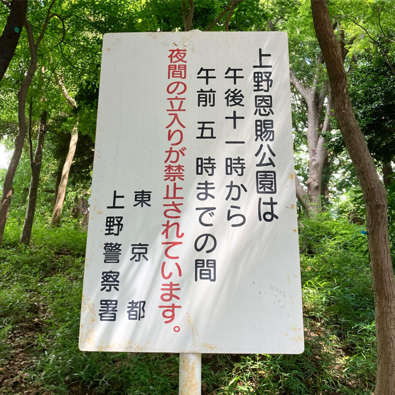 午後11時から午前5時まで、なんだって?_c0060143_10453975.jpg