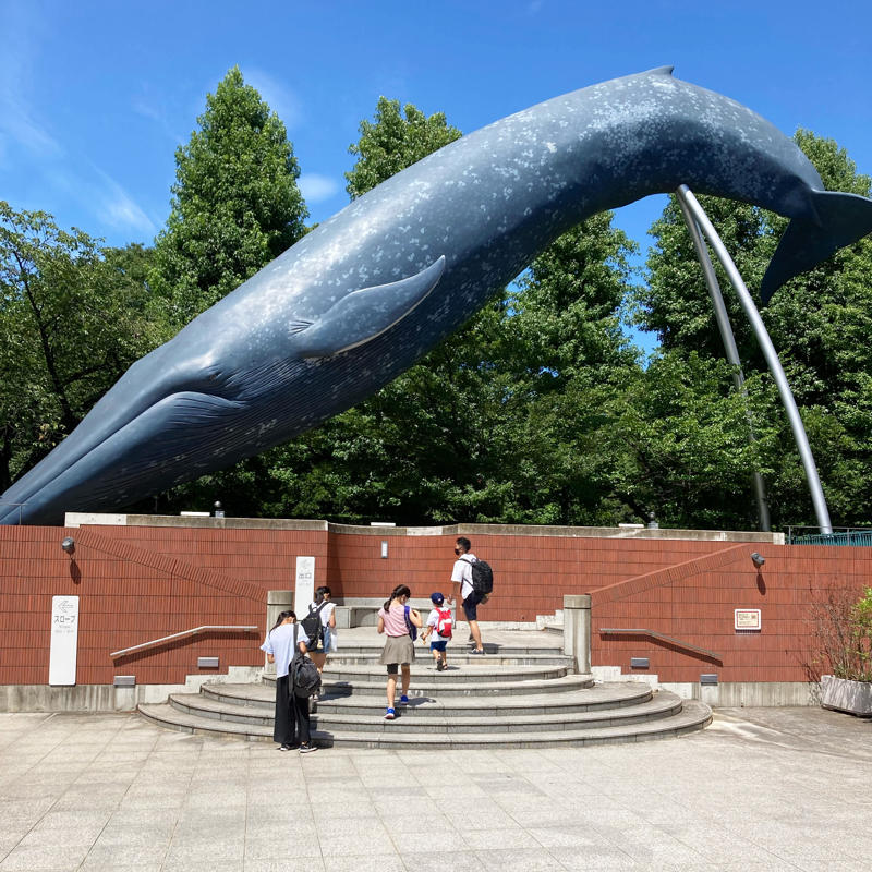 カハクのクジラを観に来ました_c0060143_10464890.jpg