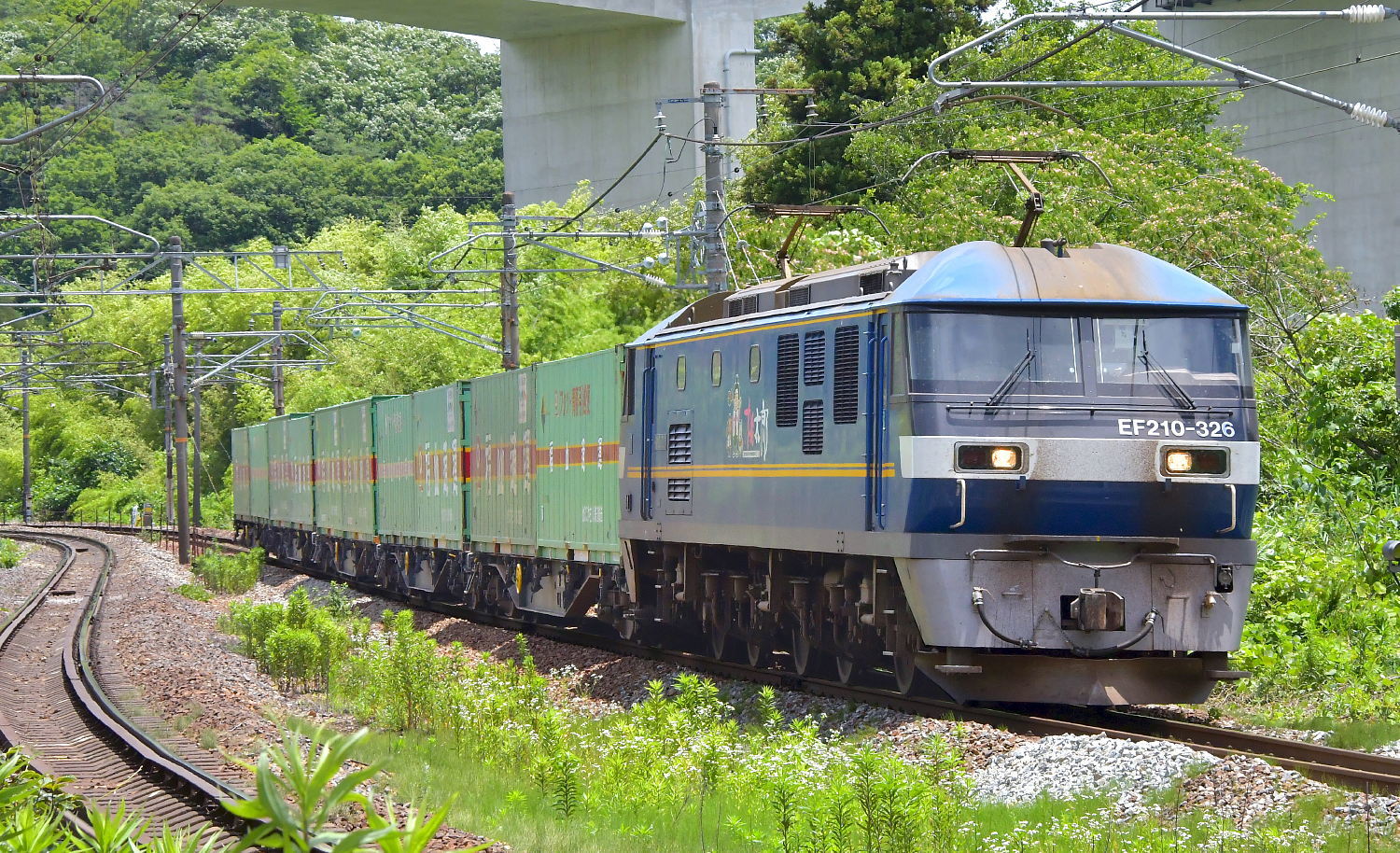 独特な ジャンク品】福山レールエクスプレス 24両セット｜Nゲージ 鉄道模型