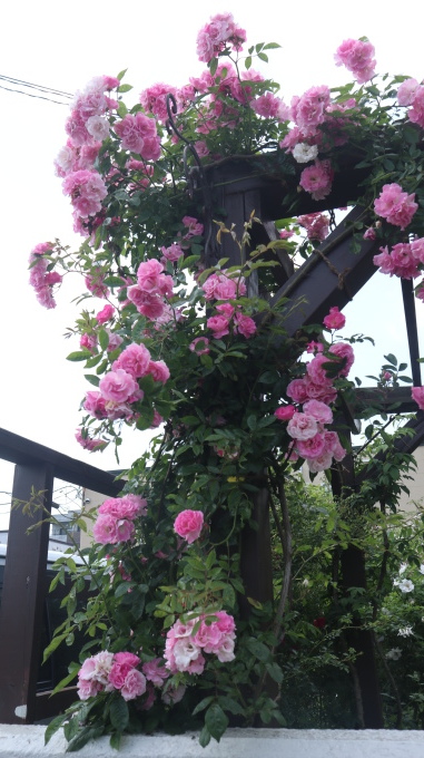 北海道の取材ついでにプライベートも楽しんじゃいました！！･････その８_b0331802_00514434.jpg