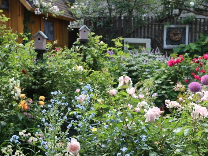 北海道の取材ついでにプライベートも楽しんじゃいました！！･････その８_b0331802_00570838.jpg