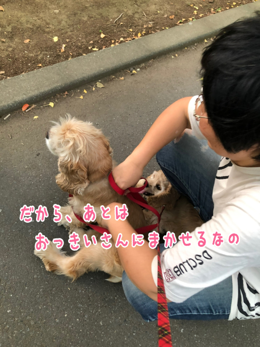 公園で、おっきいさんがカッコよかった件_b0067012_08424173.jpg