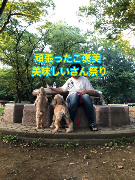 公園で、おっきいさんがカッコよかった件_b0067012_08530068.jpg