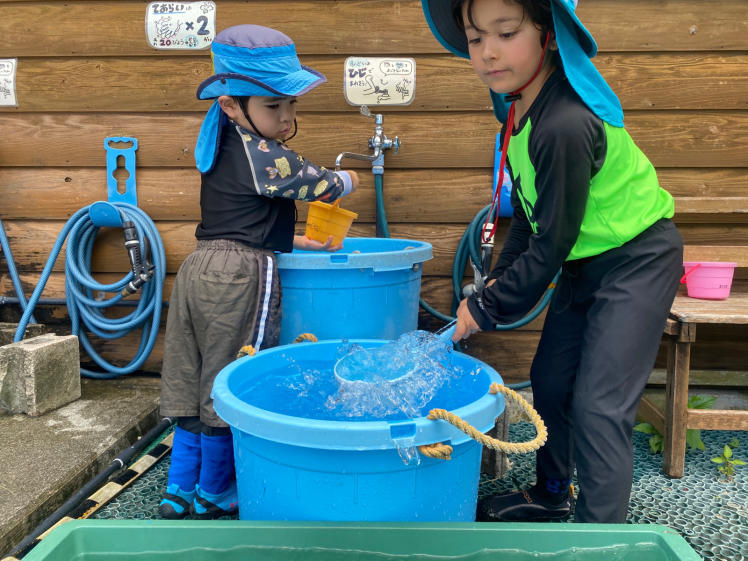 青空ようちえん〔平日〕雨の中の海遊びは特別!大人も子どもも濡れて楽しんだ!_d0363878_15512323.jpg