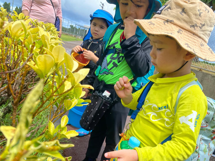 青空ようちえん〔平日〕雨の中の海遊びは特別!大人も子どもも濡れて楽しんだ!_d0363878_15521899.jpg