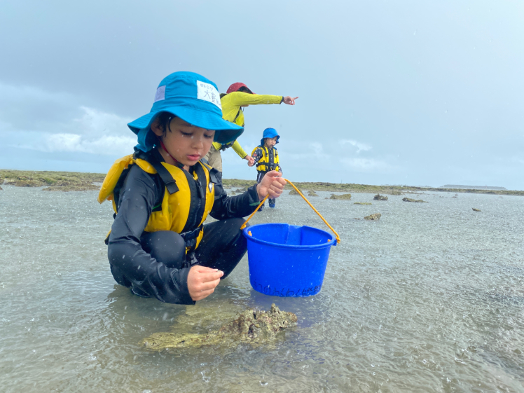 青空ようちえん〔平日〕雨の中の海遊びは特別!大人も子どもも濡れて楽しんだ!_d0363878_16161576.jpg