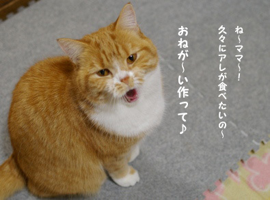 旧たまの玉手箱（teacupブログの転載 2006年～）