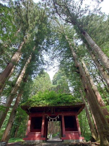 お山 (今年3回目)_c0157482_09242589.jpg
