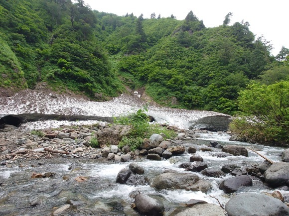 お山 (今年3回目)_c0157482_10061367.jpg