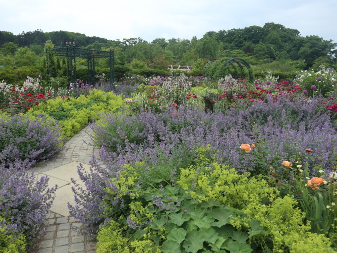 北海道の取材ついでにプライベートも楽しんじゃいました！！･････その９_b0331802_22490914.jpg