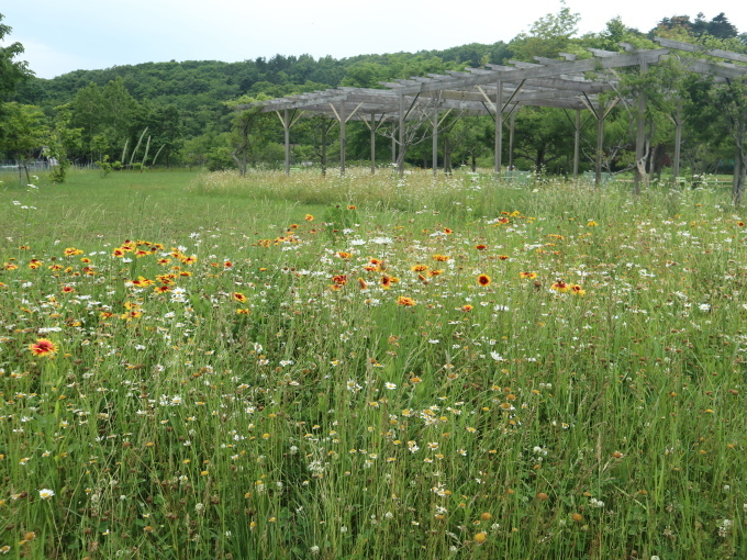 北海道の取材ついでにプライベートも楽しんじゃいました！！･････その９_b0331802_22550274.jpg