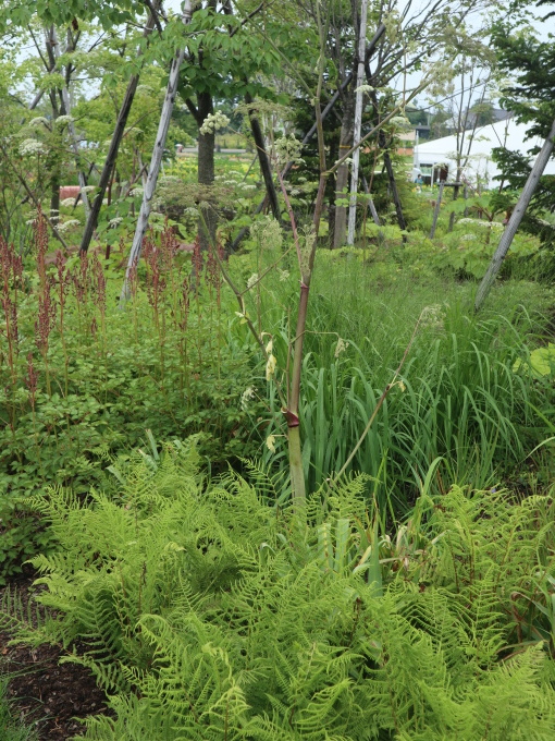 北海道の取材ついでにプライベートも楽しんじゃいました！！･････その９_b0331802_23170621.jpg