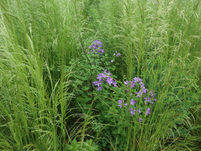 北海道の取材ついでにプライベートも楽しんじゃいました！！･････その９_b0331802_23215678.jpg
