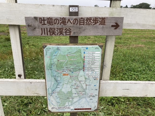 八ヶ岳自然ふれあいセンターの遊歩道_d0348118_14535094.jpeg