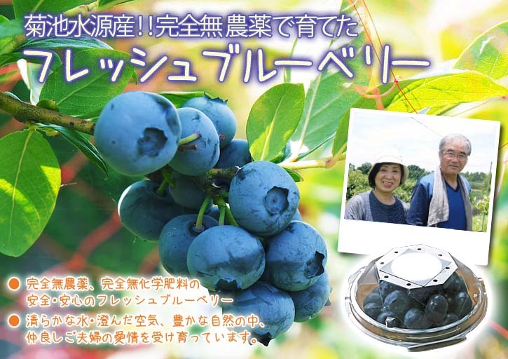 熊本県菊池水源産の無農薬で育てた『フレッシュブルーベリー』好評販売中！昨日、初出荷しました！！_a0254656_16593248.jpg