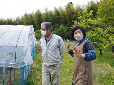 熊本県菊池水源産の無農薬で育てた『フレッシュブルーベリー』好評販売中!昨日、初出荷しました!!_a0254656_18362520.jpg