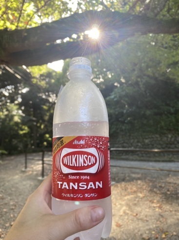 鎌倉ハイキング_b0199487_11420784.jpeg