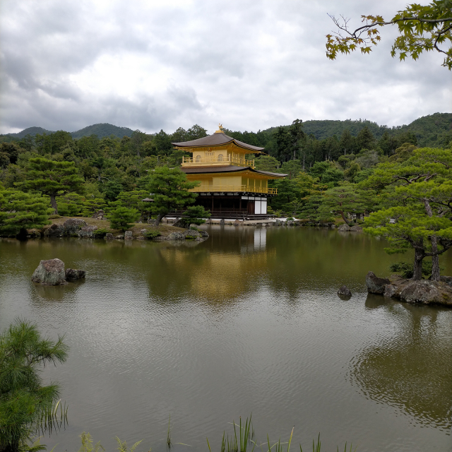 金閣寺は小学校の遠足以来_a0334793_13015842.jpg