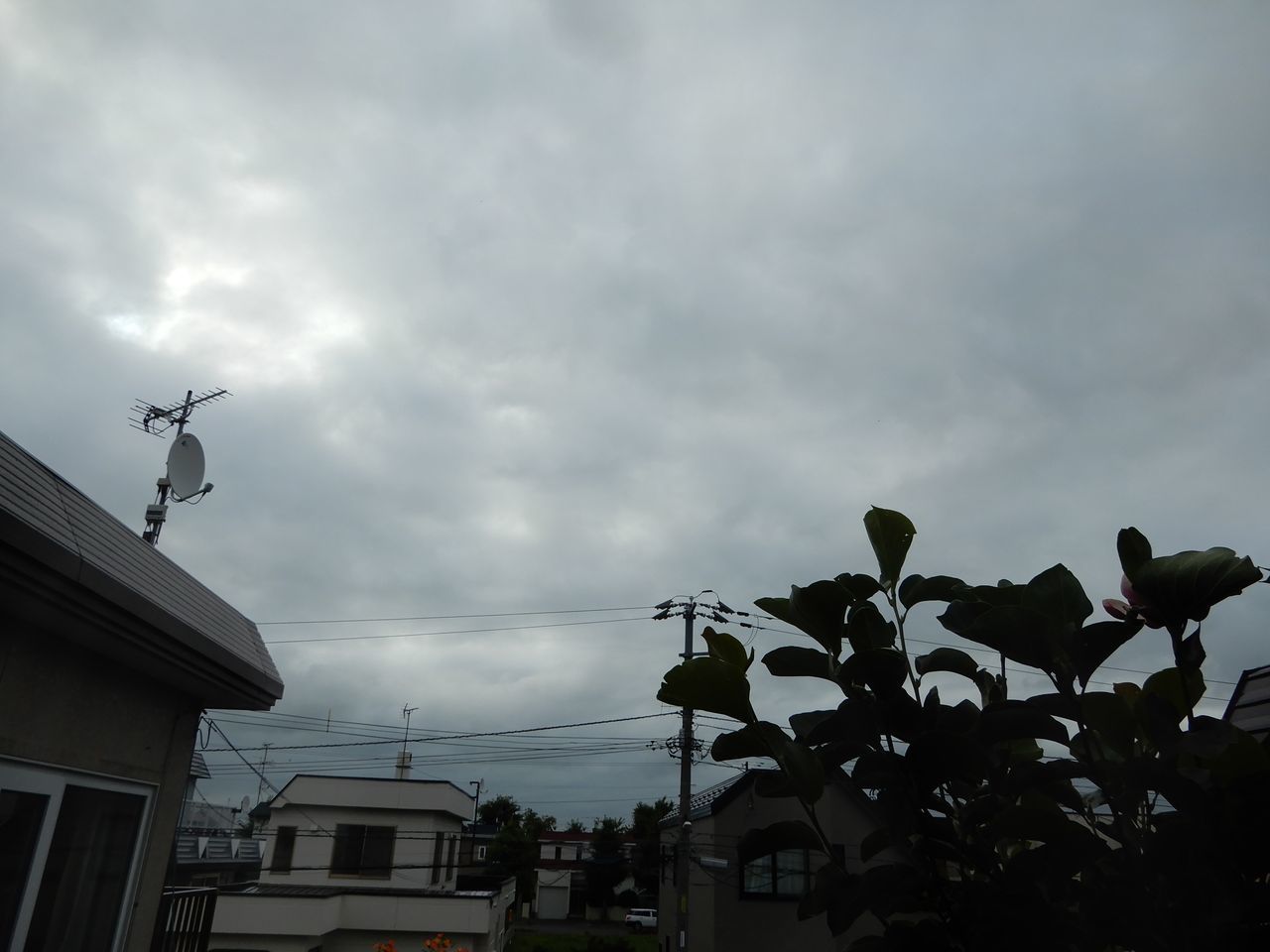 今日は曇で涼しめ_c0025115_22153519.jpg