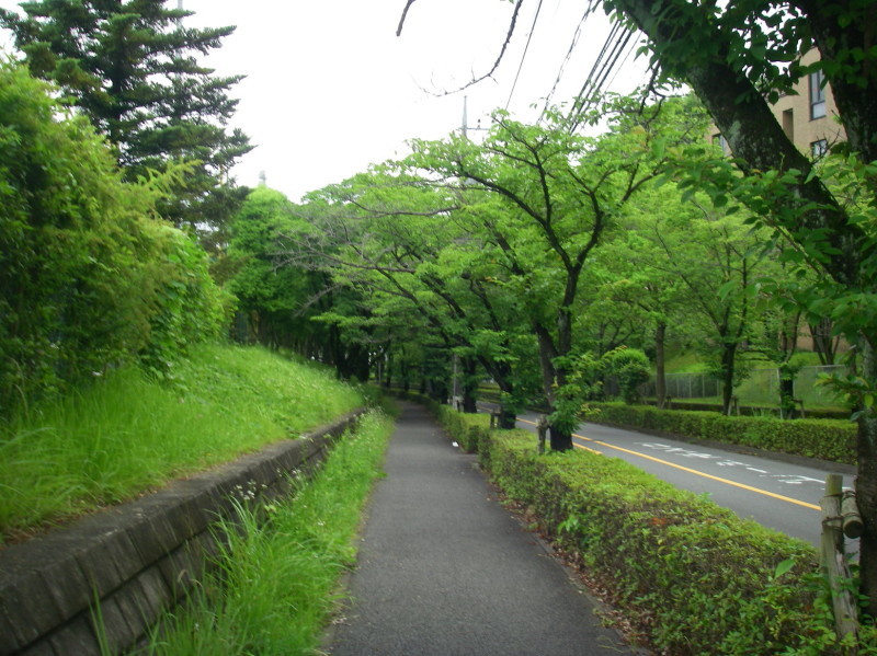 ぶらさかば　町田の別所と小山田緑地を歩く_f0344405_10550973.jpg