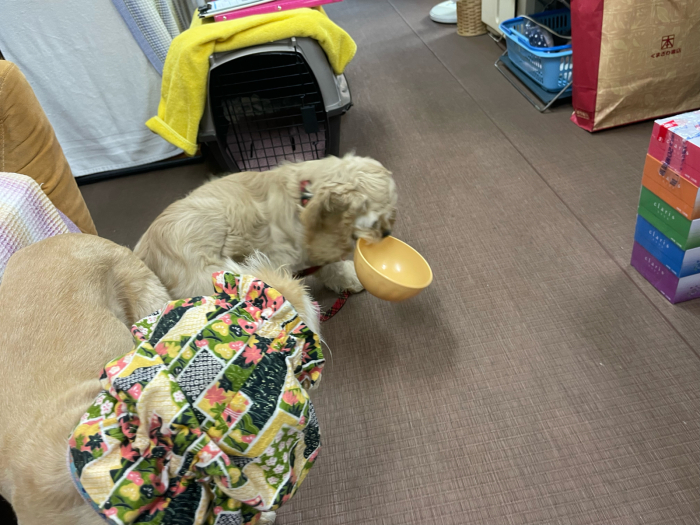 おけさの練習。_b0067012_00590460.jpg