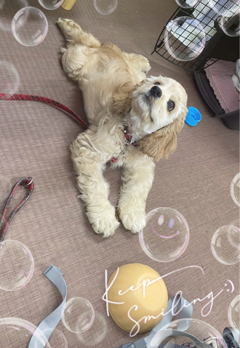 おけさの練習。_b0067012_00594342.jpg