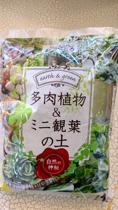 ハツユキカズラ(≧▽≦)_c0350439_18110188.jpg