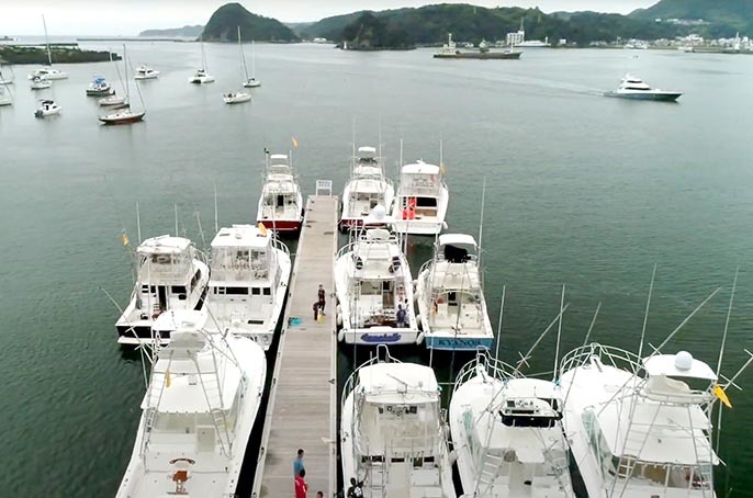 BillFish Tournament_f0009039_07390364.jpg