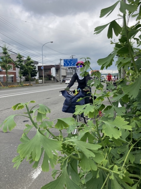 自転車でキャンプへ行こう！in八剣山ワイナリー焚き火キャンプ場2022に行って来ました！_d0197762_22261426.jpg
