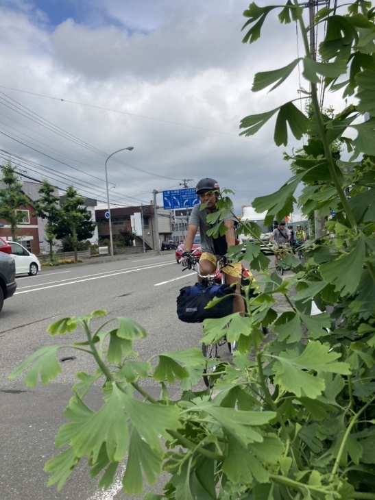 自転車でキャンプへ行こう！in八剣山ワイナリー焚き火キャンプ場2022に行って来ました！_d0197762_22271285.jpg