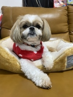 密教2152 【命の軽重】_e0392772_22224655.jpeg