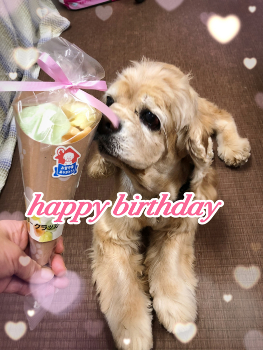サラっぴ10と３つ。_b0067012_02245065.jpg