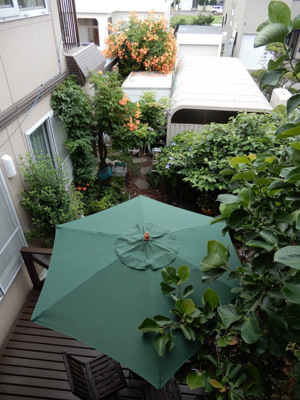 真夏日のハイビスカス_c0025115_22315098.jpg