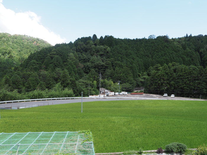 夏空の晴れ_c0116915_00161888.jpg
