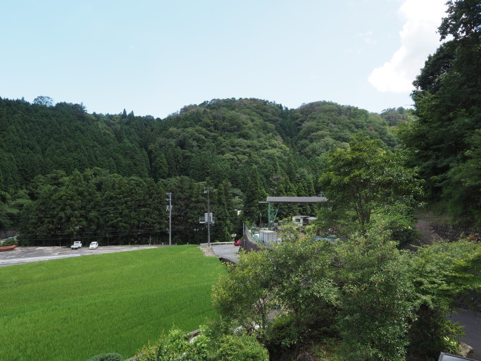 夏空の晴れ_c0116915_00163185.jpg