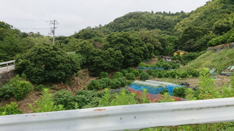 太陽系は約46億年前、銀河系（天の川銀河）の中心から約26,000光年離れた、オリオン腕の中に位置。_b0416624_15160427.jpg