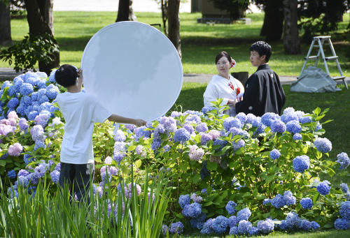 それぞれの夏の日_f0143469_08050748.jpg