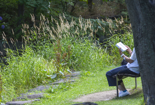 それぞれの夏の日_f0143469_08050942.jpg