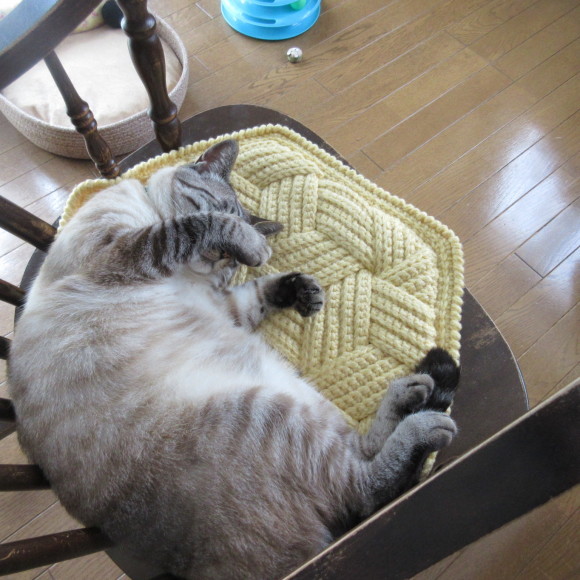 7月の花たち_d0009101_10282228.jpg